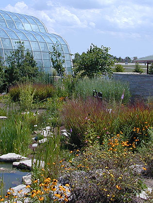 Building A Butterfly Garden In Florida - Making your landscape into a butterfly haven!